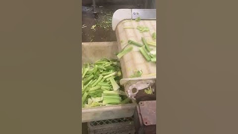 lot 10 SUNSHINE SYSTEMS 8-BLADE INCLINE CELERY SEGMENTER