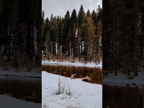 Видео: Рафтинг по река Truckee River в езерото Тахо