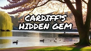 [4k 60fps HDR]Springtime Serenity at Roath Park Cardiff