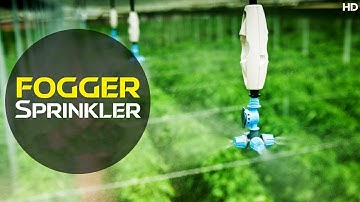 Fogger Irrigation System - Fogger Sprinkler | How Does it Works...! | Discover Agriculture