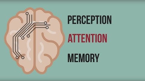 Neuromarketing: Inside the Mind of the Consumer