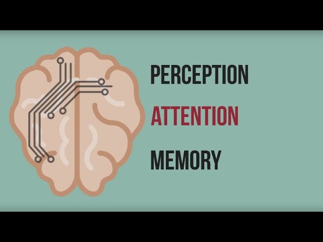 Neuromarketing: Inside the Mind of the Consumer