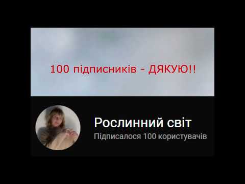 100 підписників - ДЯКУЮ! #subtitles #thebest #plants #garden #ukrainian #субтитры