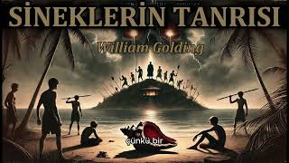 Si̇nekleri̇n Tanrisi - William Ding Kitap Özeti
