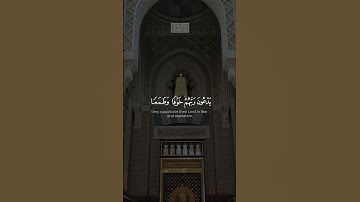 {تَتَجَافَىٰ جُنُوبُهُمۡ عَنِ ٱلۡمَضَاجِعِ یَدۡعُونَ رَبَّهُمۡ} | محمد صديق المنشاوي | سورة السجدة.
