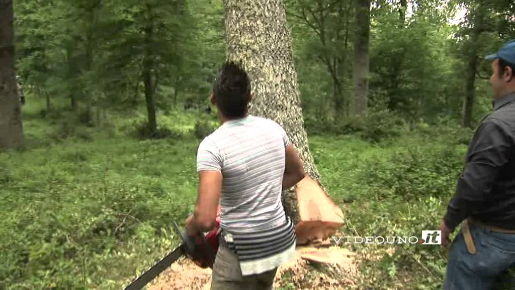 Accettura Taglio del Maggio 2 giugno 2011.m2p