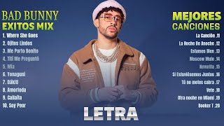 Bad Bunny Mix Exitos 2023 - Grandes Exitos De Bad Bunny - Canciones Bad Bunny - Mix Reggaeton 2023