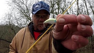 Crappie Fishing With A Crankbait - Minnow Mini