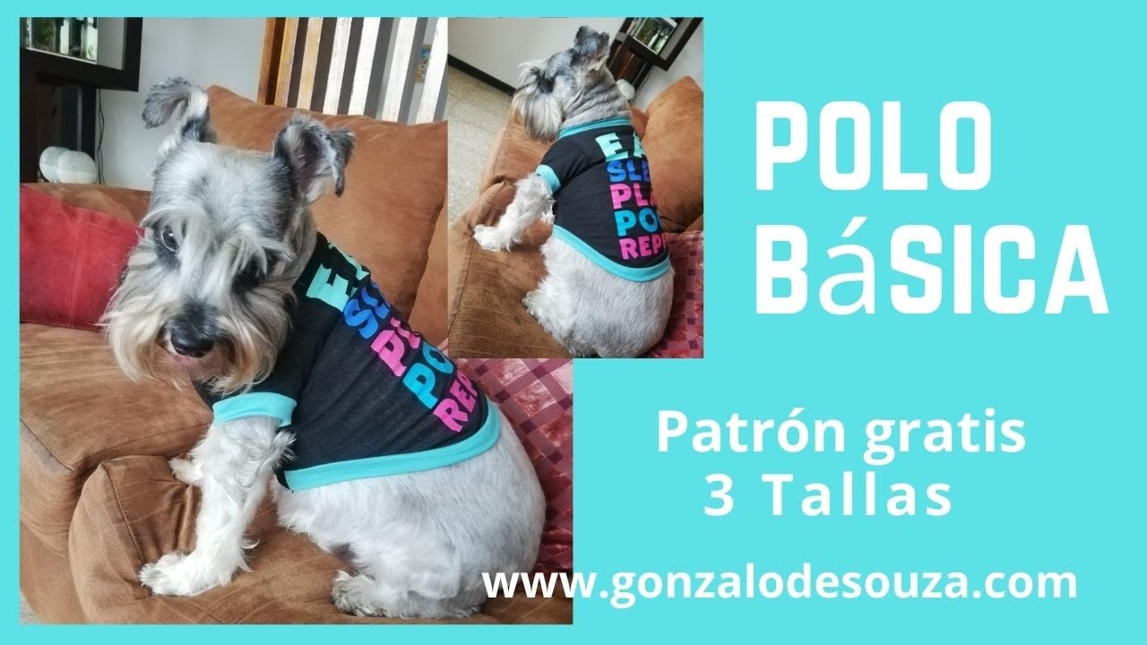 Ropa para perro como hacer