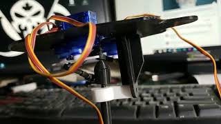 Tomm's 3 Axis Talking Skull Demo 2