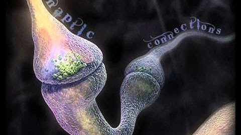 Synaptic Connection (Original) - Mental Traps