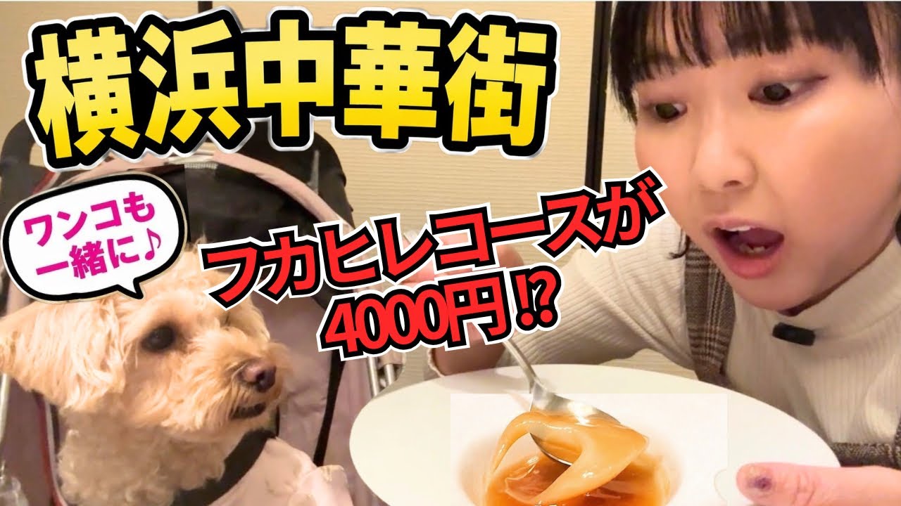 愛犬と横浜中華街⭐︎個室でフカヒレコースからの食べ歩きした結果…