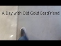 A Day With Old Gold Best Friend!! - (Huzam&#39;s Vlogs #6)