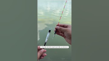Phao điện cảm biến đổi màu chuyên câu rô diếc, cá nhát cá cũ #cauca #fishing #shorts