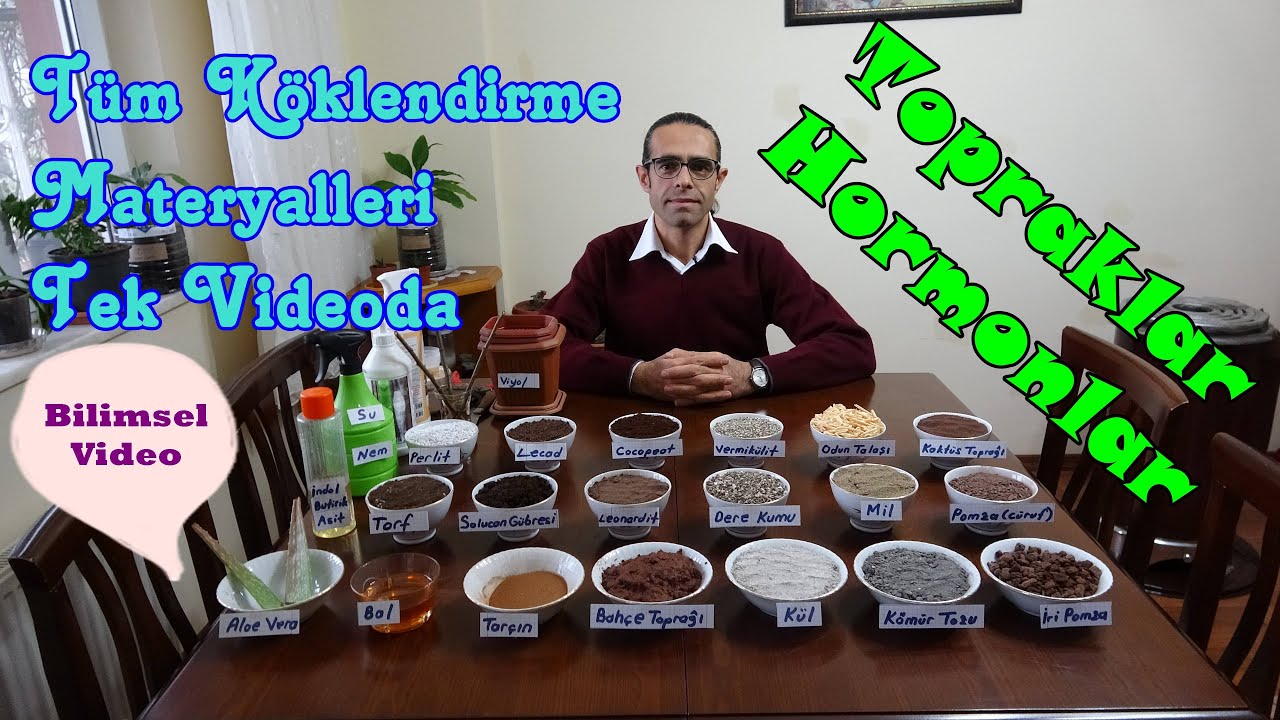 Çelikten Köklendirme Materyalleri (Topraklar ve Hormonlar)