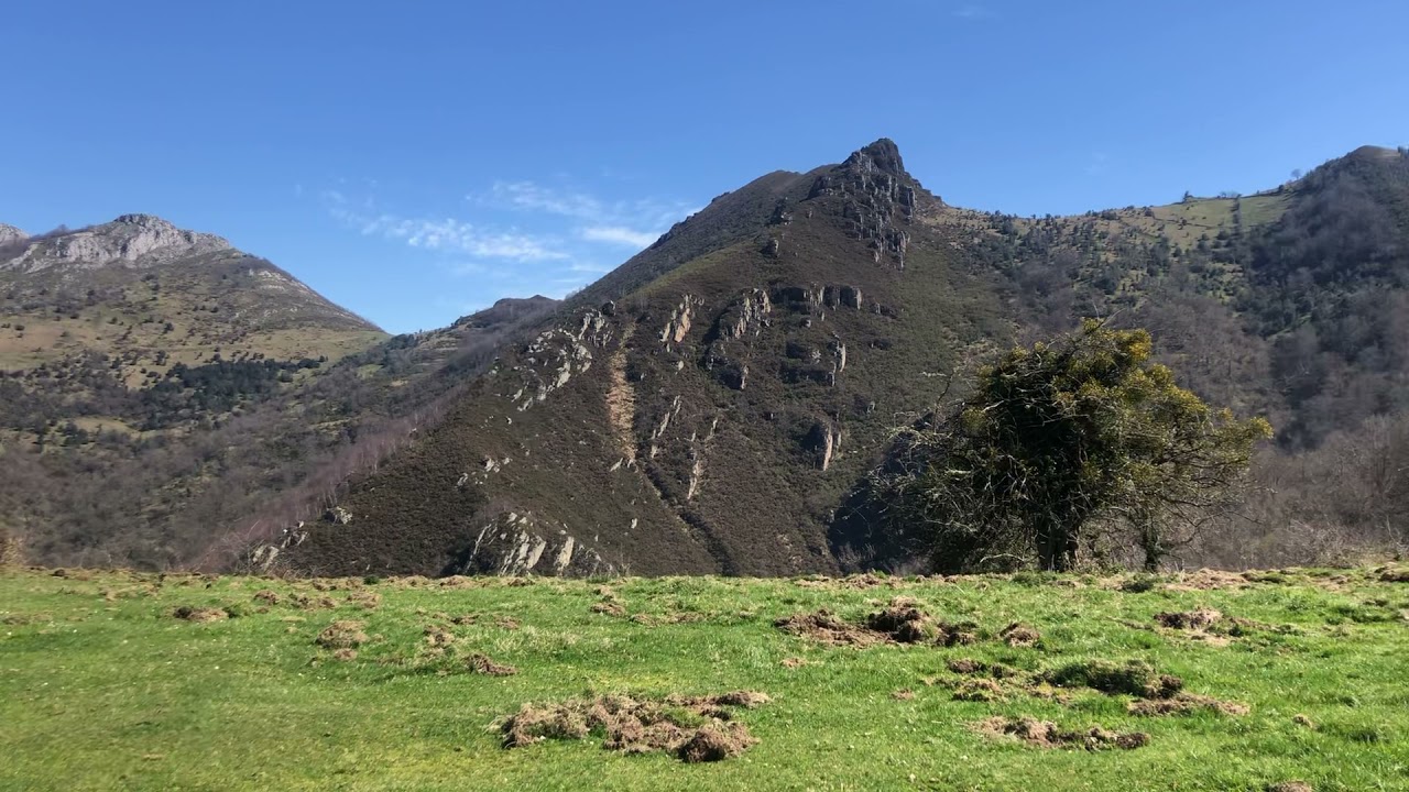 El oso acechaba cerca de Collada Mingoyo