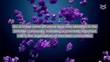 Discovery of novel community-relevant small proteins in a simplified human intestinal microbiome