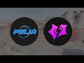 PELIÄ VS NDIV | ESEA Intermediate | PELIÄ ry | CS2 Suomi