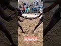 Shagon Gawuna Versus Bahagon Ali Kansila 