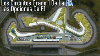 Las Opciones De F1! | Los Circuitos Grado 1 De La FIA