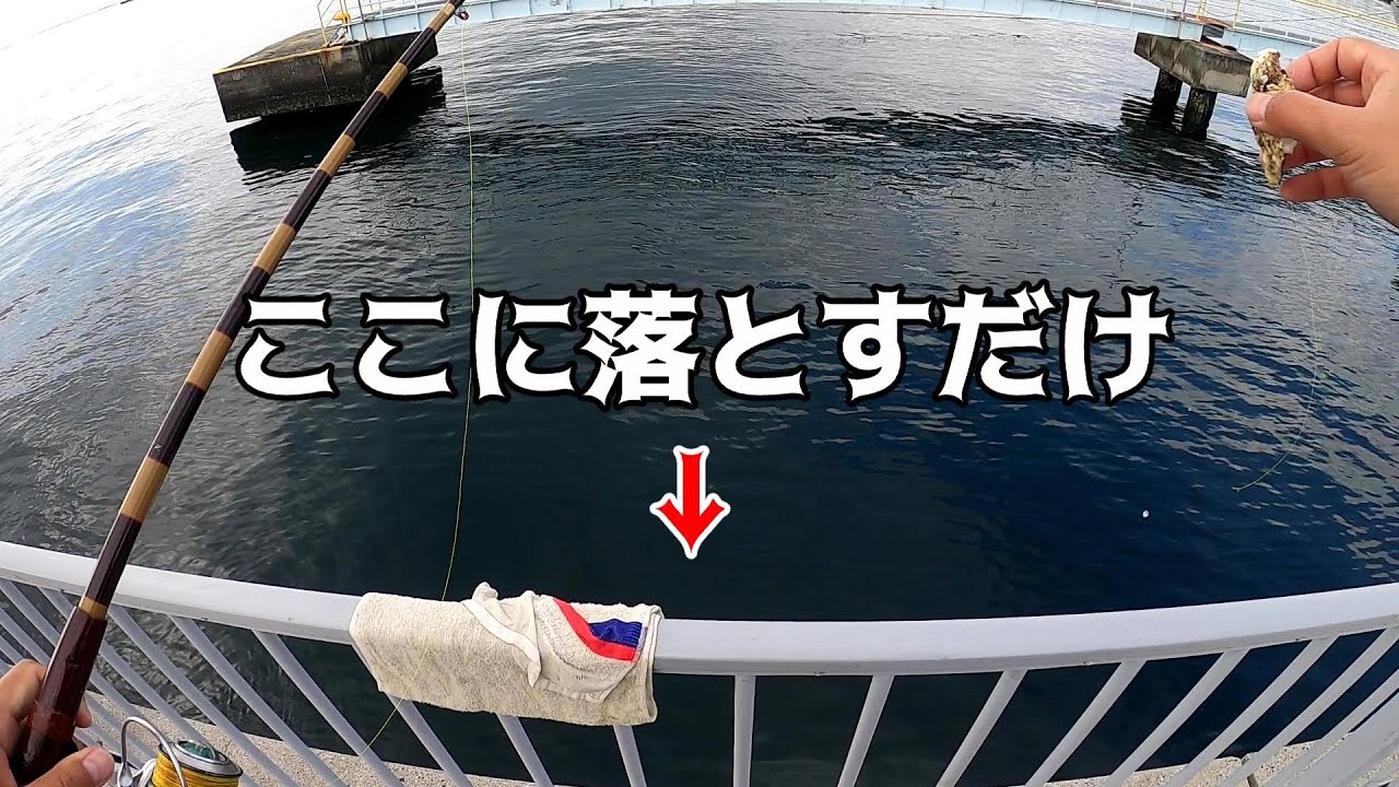 真冬の海釣り公園で釣りしたらわずか数投で… - YouTube