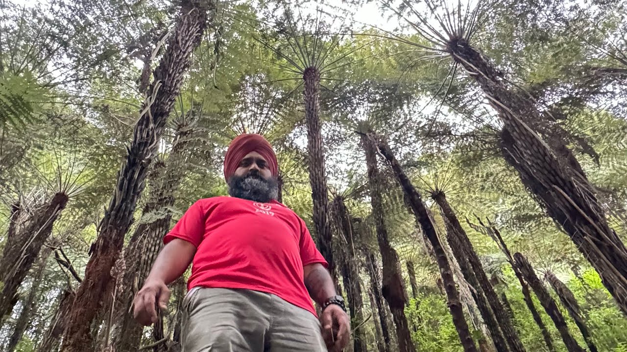 first all of you thxs you are waching videos an support me in furture pls dont forgt back feedback .