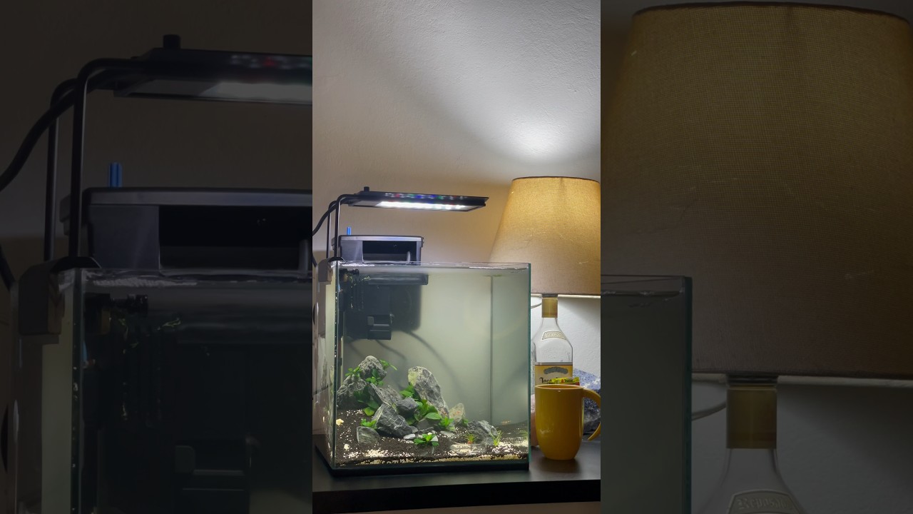 “Frio chegou! Peixinhos também sentem. Termostato X-5 Oceantech: seguro e ajustável pro seu aquário.