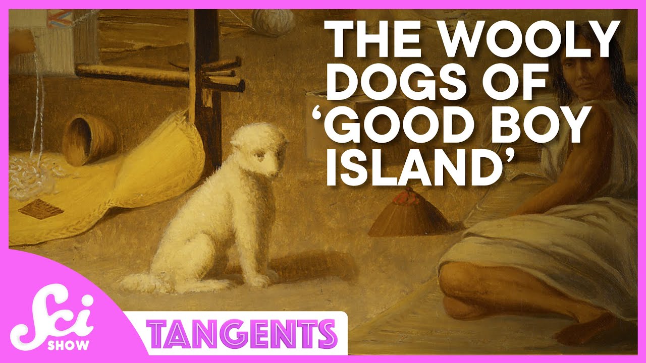 Beaches | SciShow Tangents Podcast