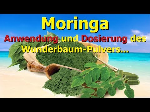 Moringa - Anwendung und Dosierung des Wunderbaum-Pulvers