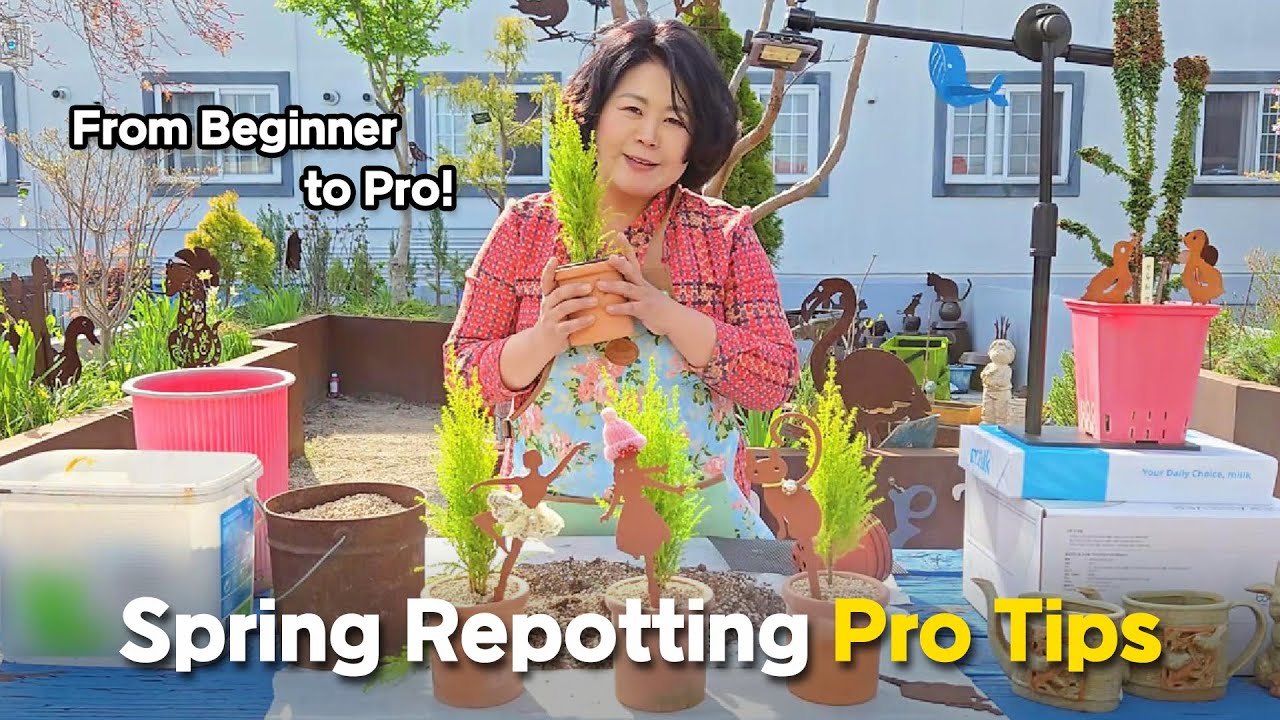 Spring Repotting Tips | Level Up with Steel Deco Plant Hacks! | Steeldeco
