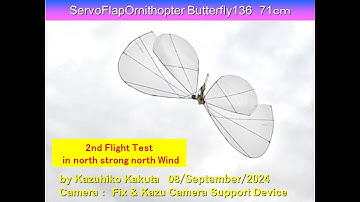 サーボ駆動蝶型羽ばたき機 SFOButterfly136 39g 71cm: 2nd Flight Test in strong north Wind