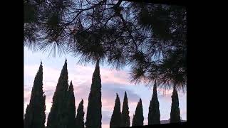 Cypress - Color Time (Full Album 2024)