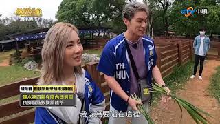 豆花孟哲組闖關cut 主謀唱歌:菊花台+私奔到月球/飢餓遊戲_精采片段/EP233_20210509