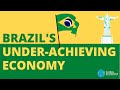 The Brazilian Economy