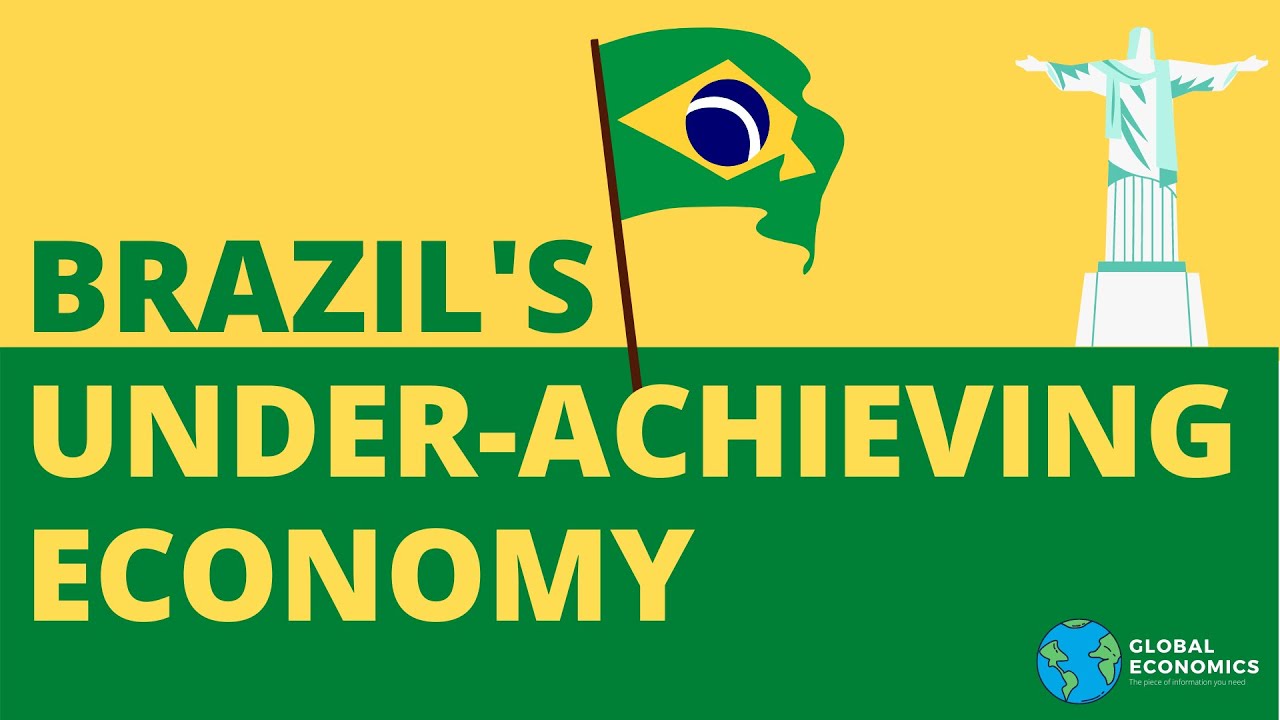 The Brazilian Economy