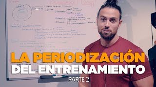 LA IMPORTANCIA DE LA PERIODIZACIÓN DEL ENTRENAMIENTO parte 2 | Curro Hernández