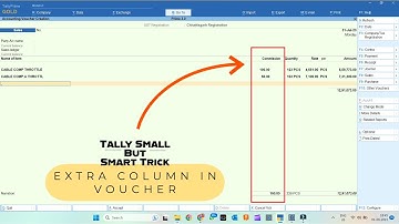 Extra Column in Voucher | 90th Tally Small But Smart Trick @LearnWell
