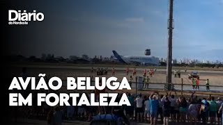 Beluga sobrevoa Bar Avião