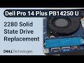 Dell Pro 14 Plus PB14250 U processors series | How to replace the 2280 solid state drive (SSD)