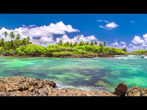 8 Hours of Relaxing Music - Peaceful Background Video for Home and Office