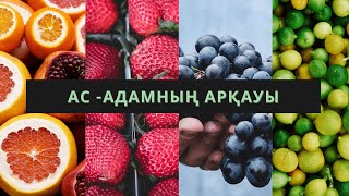 видео: ДҰРЫС ТАМАҚТАНУ ЖОЛДАРЫ!!! картинка: ДҰРЫС ТАМАҚТАНУ ЖОЛДАРЫ!!!