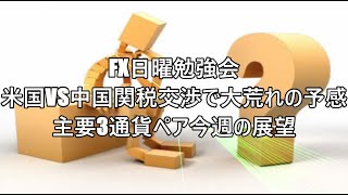 FX日曜勉強会 米国VS中国関税交渉で大荒れの予感 主要3通貨ペア今週の展望