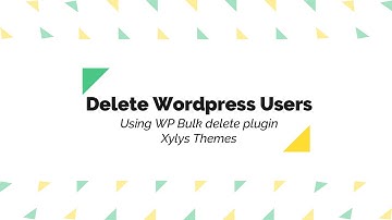 How to Delete WordPress Users in one click using WP Bulk delete Plugin.