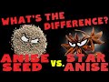 Anise Seed vs Star Anise: What is the Difference?