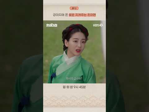 [#혼례대첩] 강아지에 쫀 로운 지켜주는 <strong>조이현</strong> #KBS #드라마 #로운 #<strong>조이현</strong> #TheMatchmakers #쇼츠 #shorts