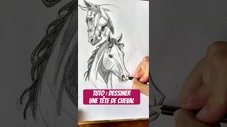 Draw a horse ✏️ #drawingtutorial #artist #drawinglessons #drawing #easydrawing #draw