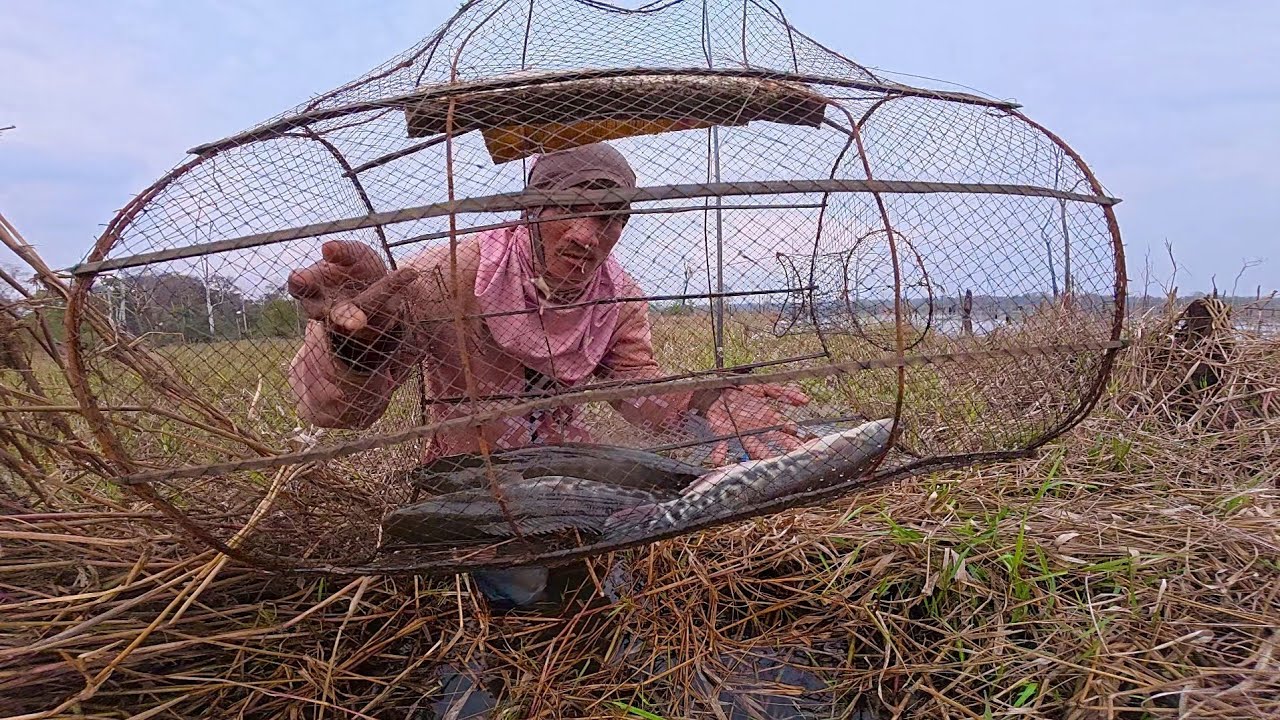 | Solo Fishing | ភាពសាមញ្ញនៃជីវិត | បោះតង់បបក់ត្រី