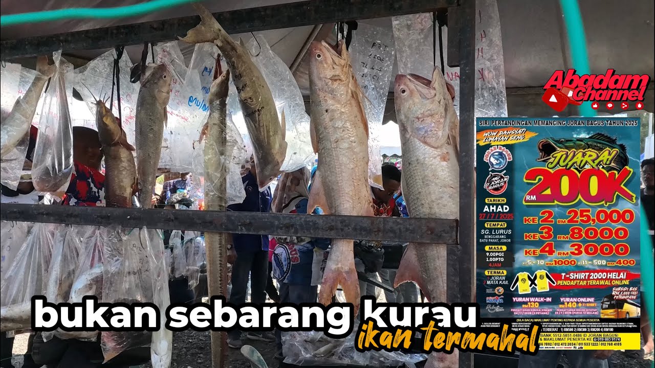 200K!!!!pertandingan memancing di pantai sungai lurus 27.7.25.