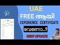 How to download experience certificate from MOHRE  #uae #mohre #uaejobs