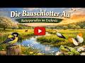 🌿 Die Bauschlotter Au – Eine geschützte Landschaft zwischen Ölbronn‑Dürrn und Neulingen